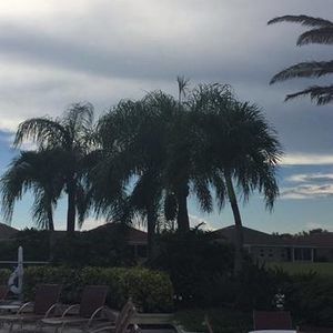 Meet your Posher, Elisa